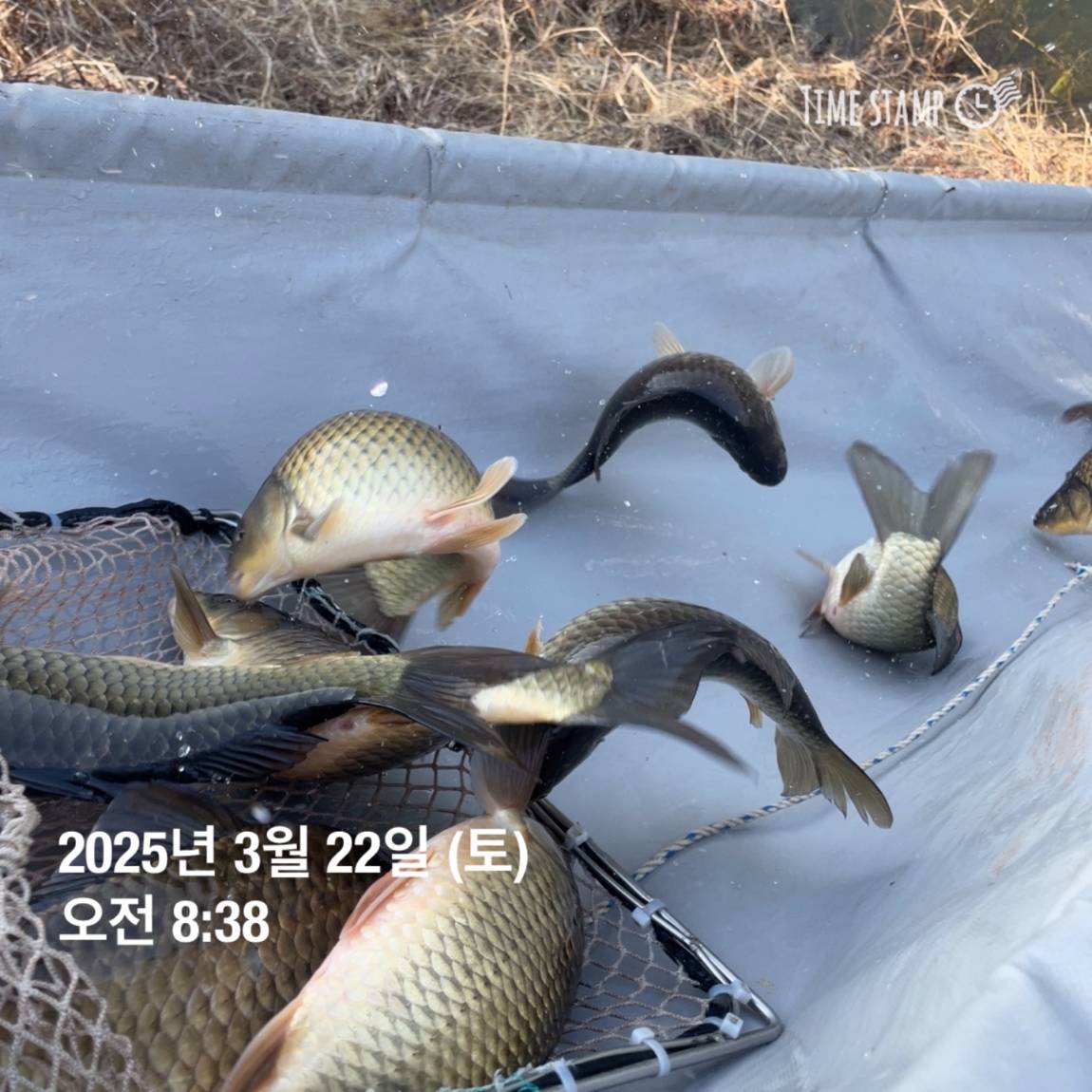 KakaoTalk_20250325_120124232_07.jpg