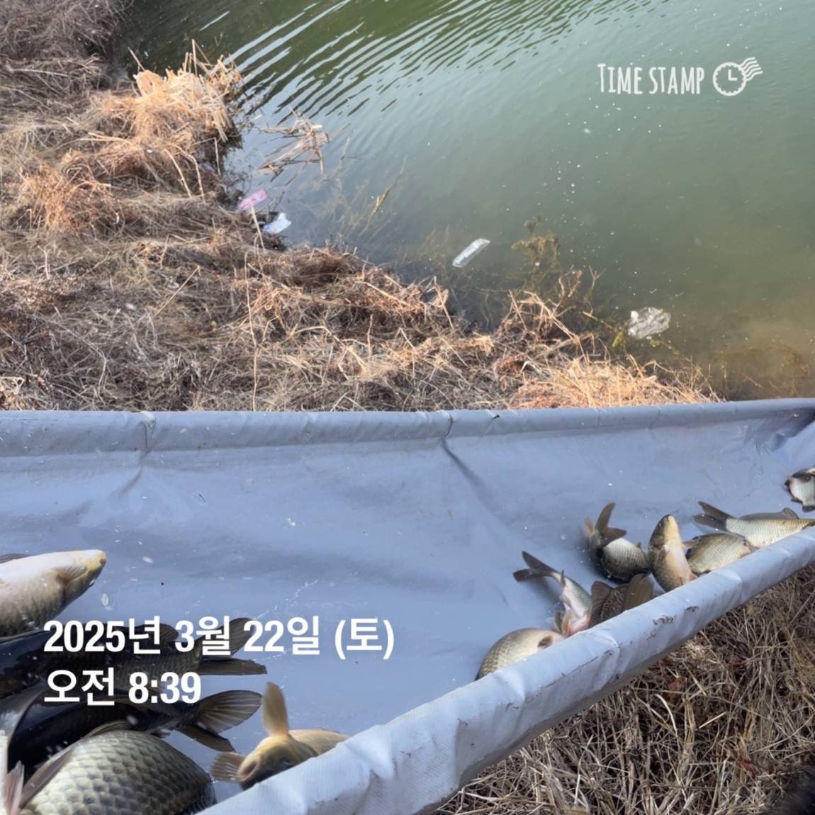 KakaoTalk_20250325_120124232_09.jpg