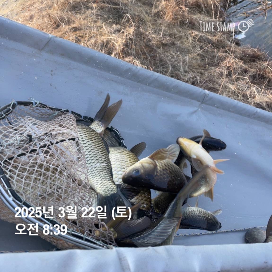 KakaoTalk_20250325_120124232_11.jpg