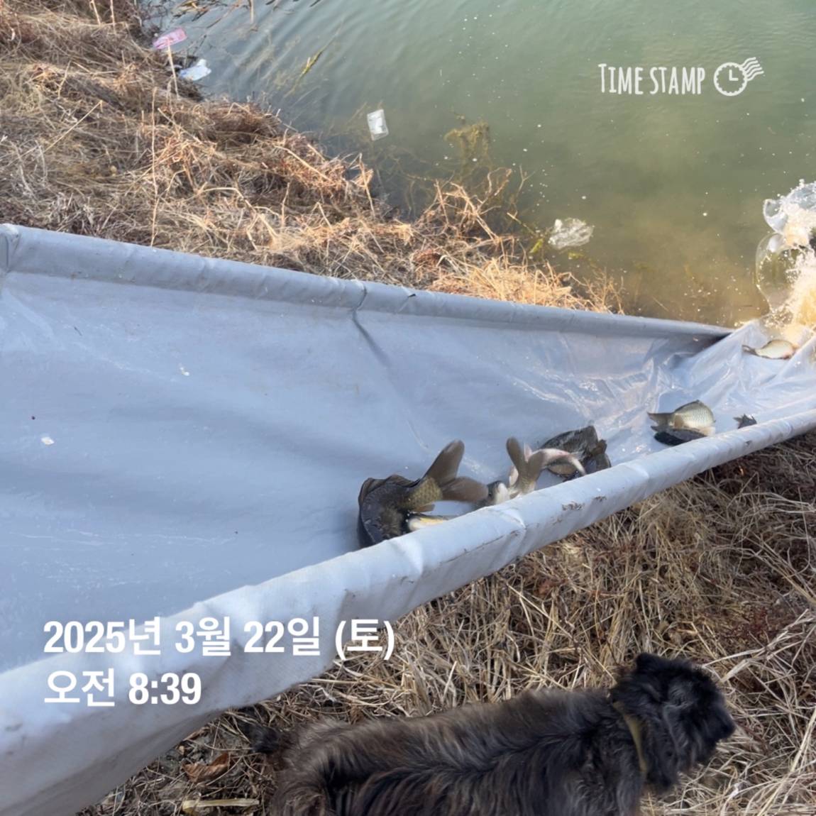 KakaoTalk_20250325_120124232_15.jpg