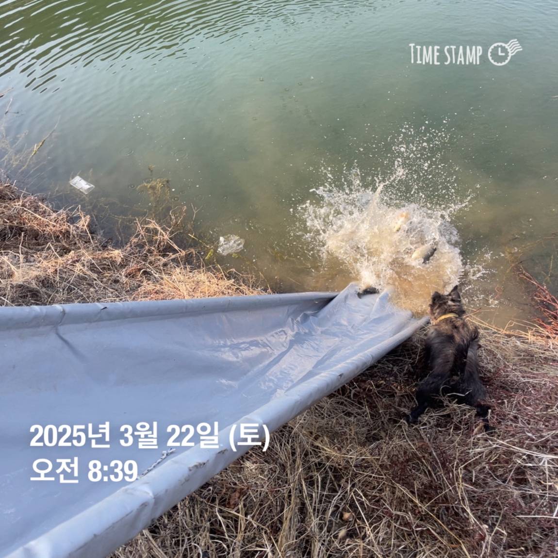 KakaoTalk_20250325_120124232_20.jpg