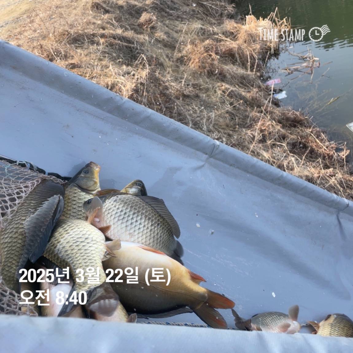 KakaoTalk_20250325_120124232_22.jpg