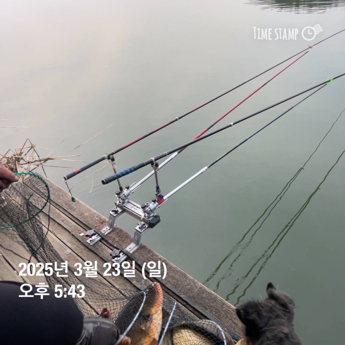 KakaoTalk_20250325_120124232_24.jpg