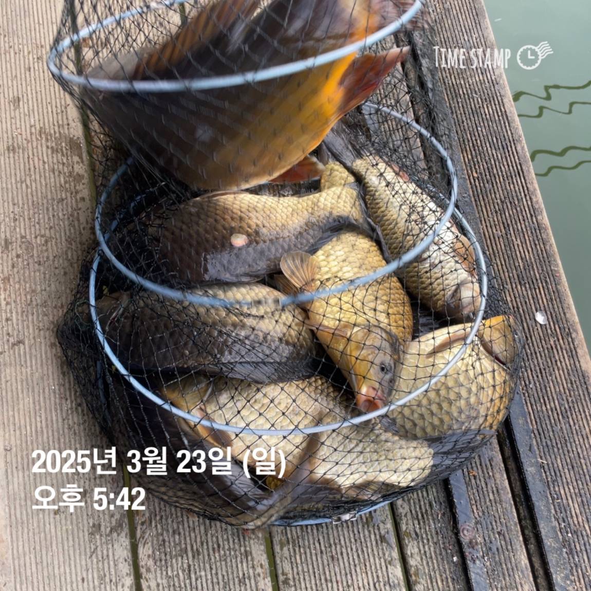 KakaoTalk_20250325_120124232_26.jpg