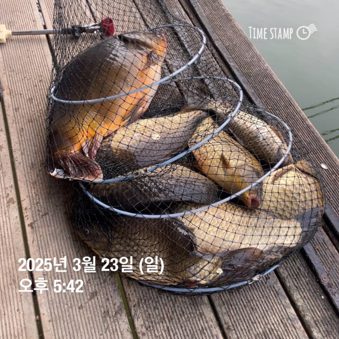 KakaoTalk_20250325_120124232_27.jpg