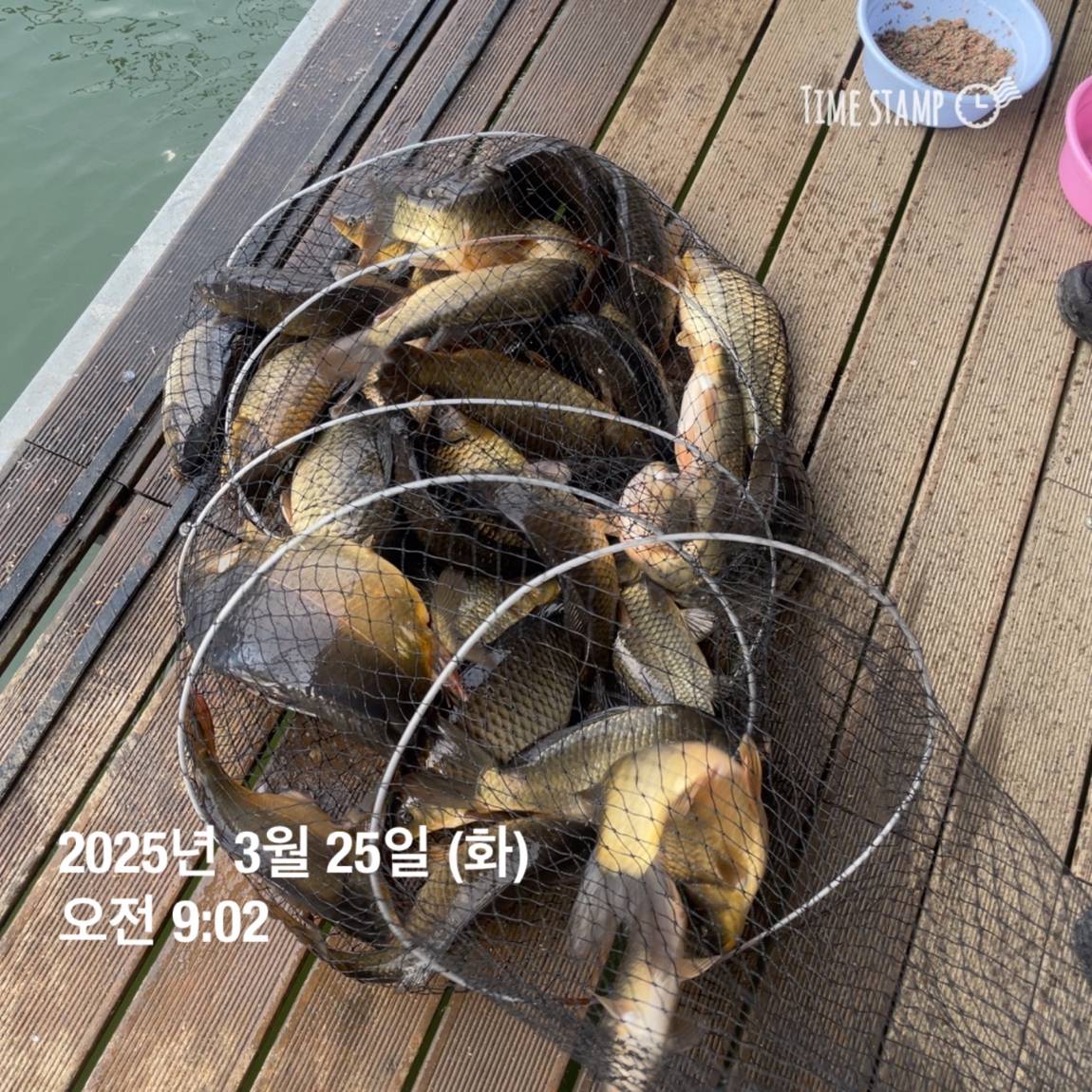 KakaoTalk_20250325_120230559.jpg
