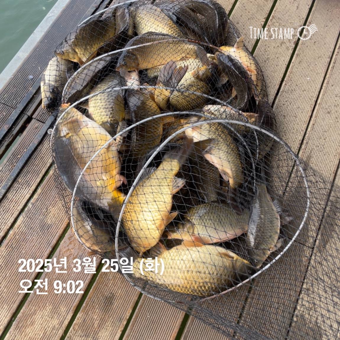 KakaoTalk_20250325_120124232_29.jpg