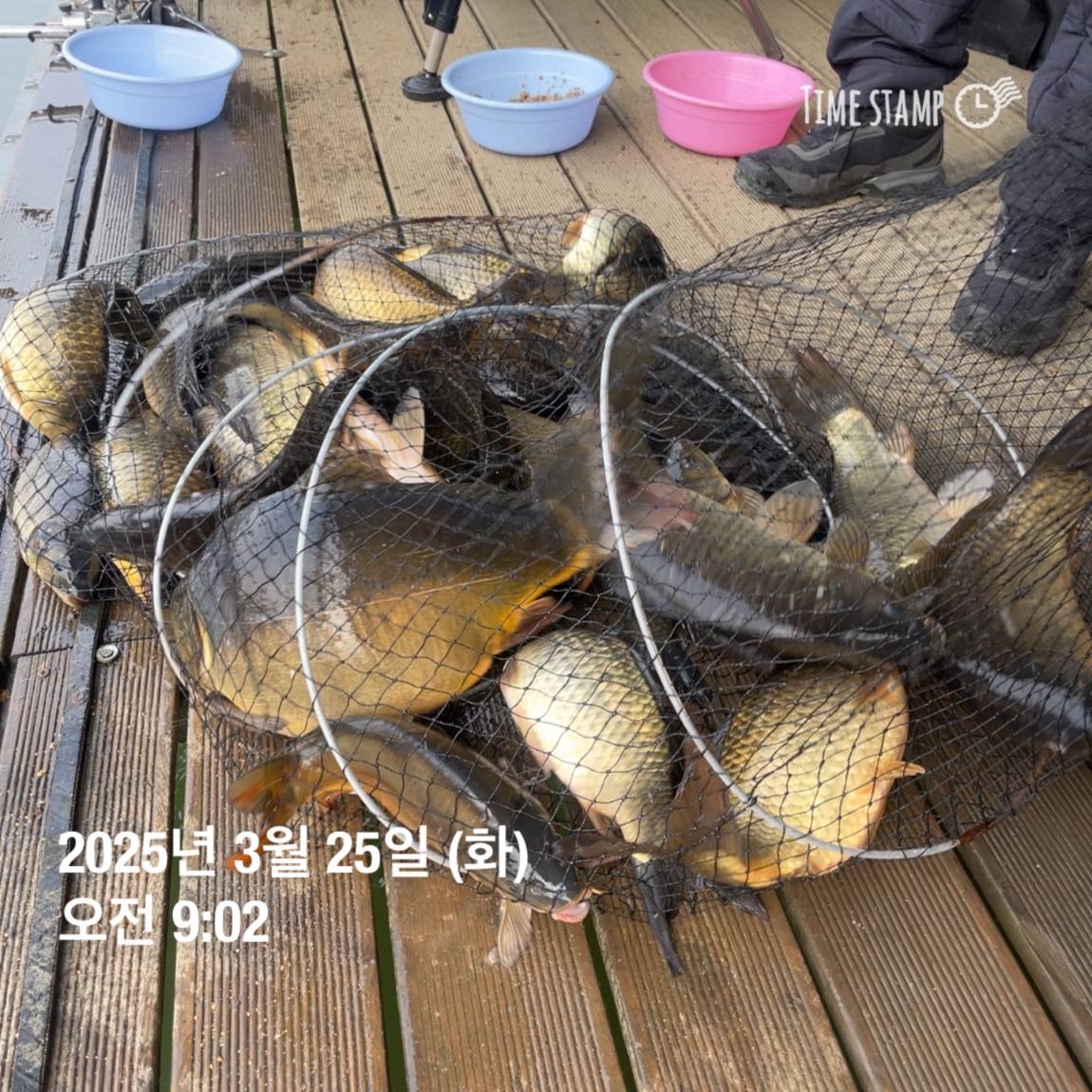 KakaoTalk_20250325_120230559_01.jpg
