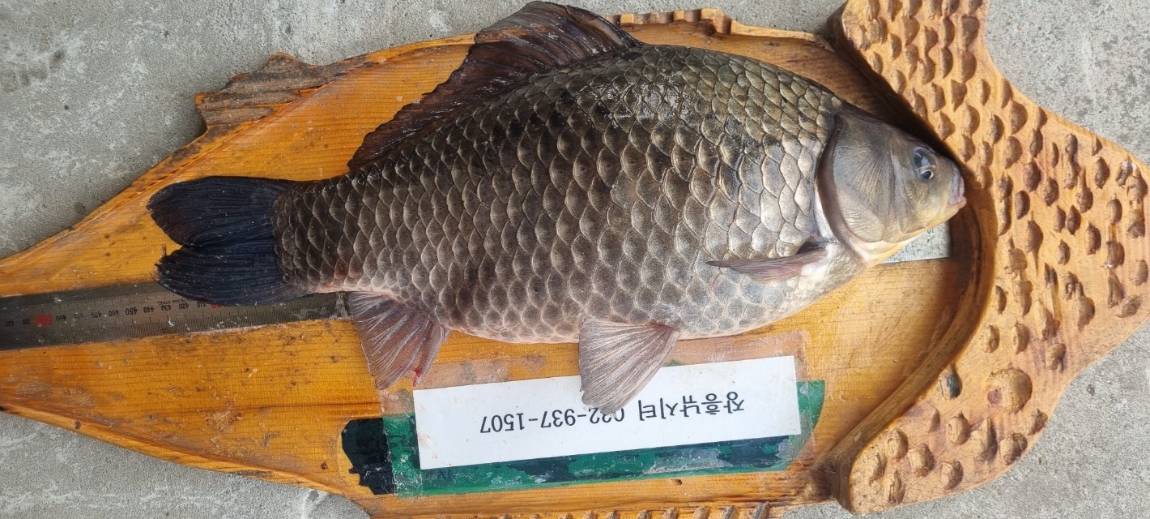 KakaoTalk_20250325_163625908.jpg