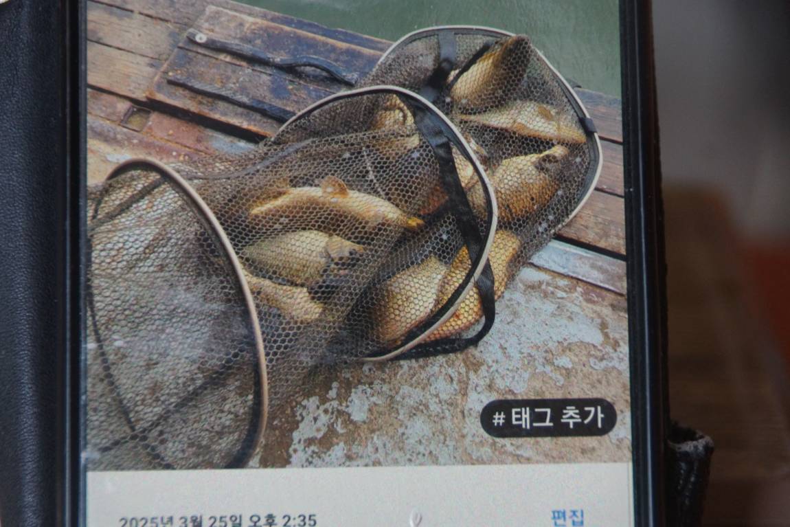 DSC09016.JPG