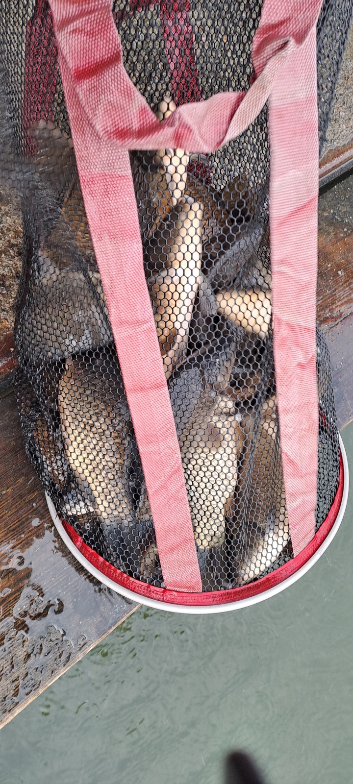 KakaoTalk_20250326_112031449_19.jpg