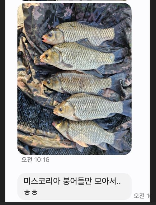 캡처.JPG