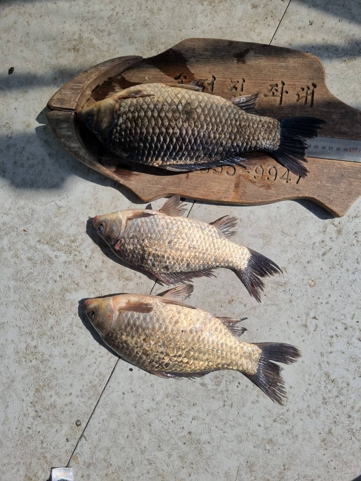 KakaoTalk_20250401_201154464_02.jpg