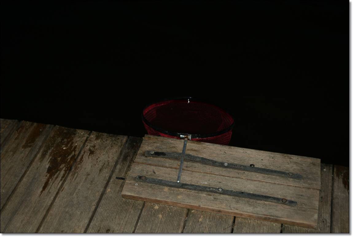 DSC_1443.JPG