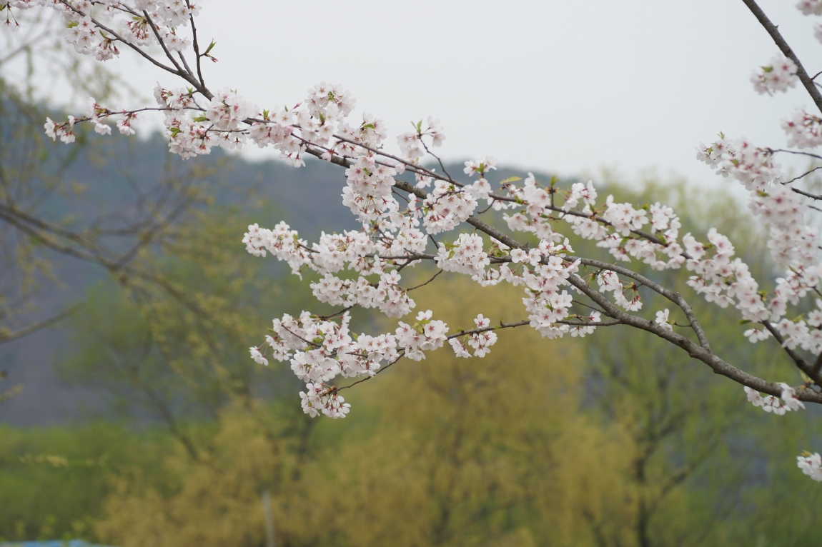 DSC08973.jpg