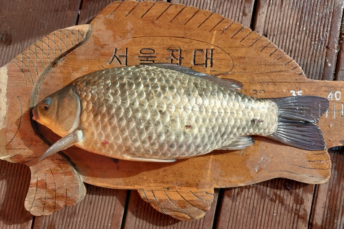 KakaoTalk_20250409_122803910_09.jpg