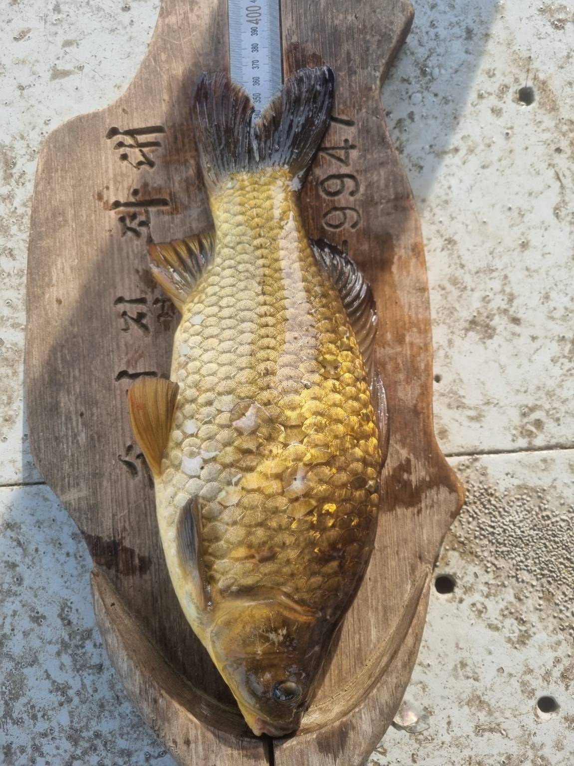 KakaoTalk_20250410_100947584_01.jpg