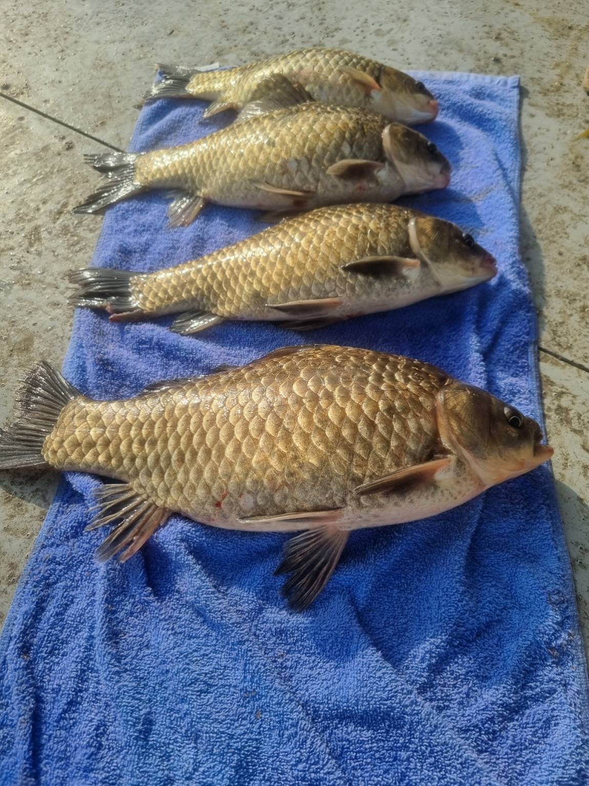 KakaoTalk_20250410_100947584_06.jpg