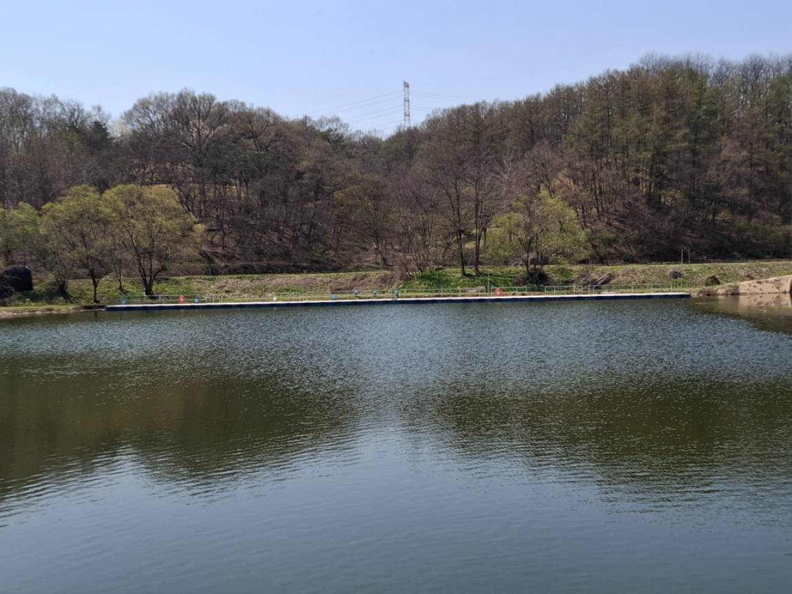 20250411_130353.jpg