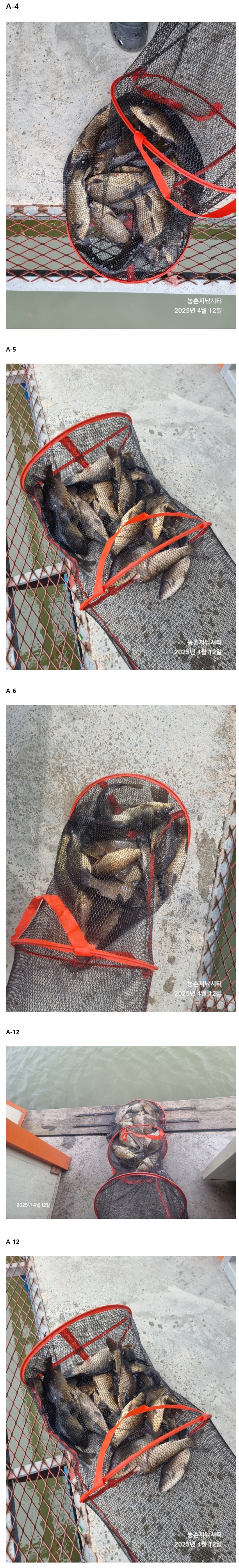 333.jpeg