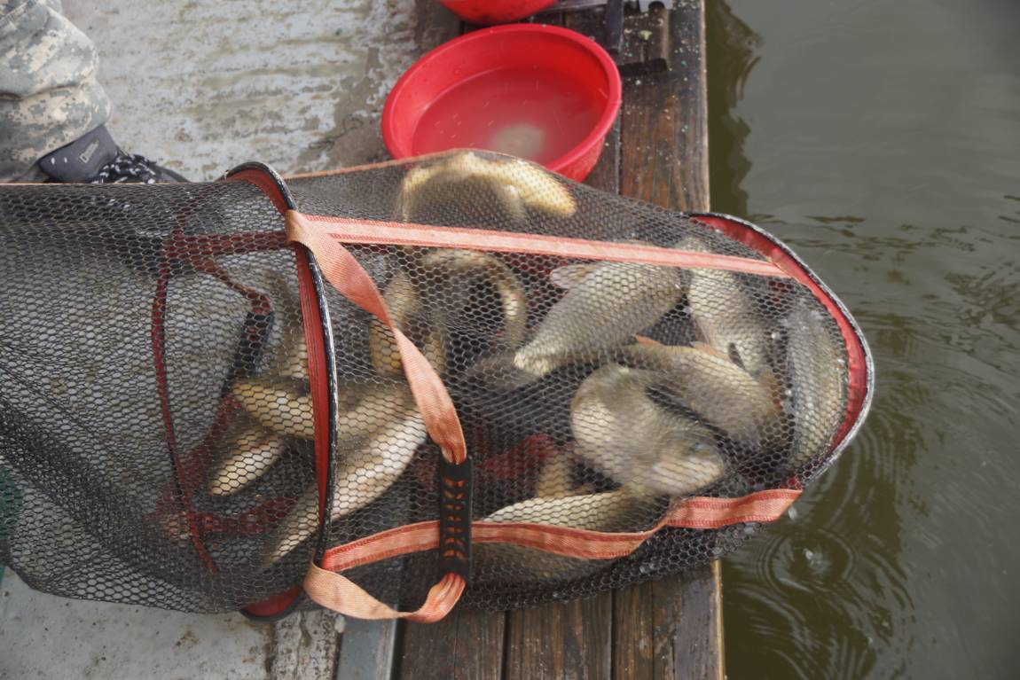 DSC09297.JPG