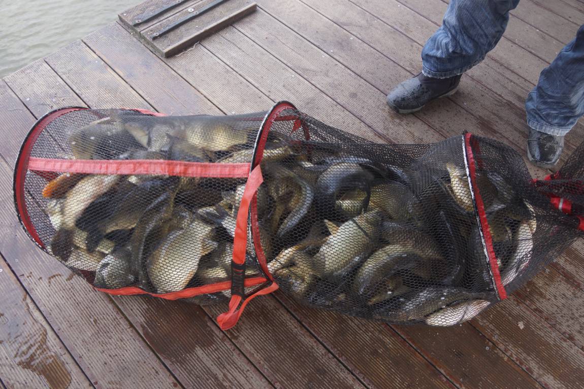 DSC09303.JPG