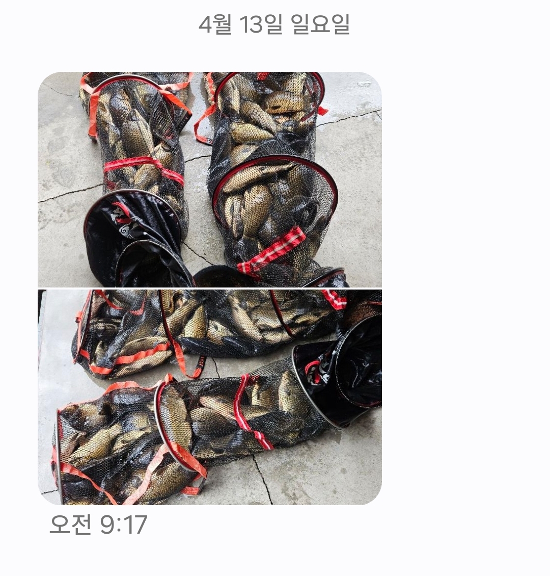 KakaoTalk_20250413_111437539.jpg