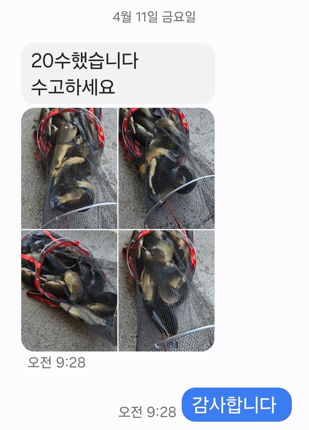 KakaoTalk_20250413_111726631.jpg