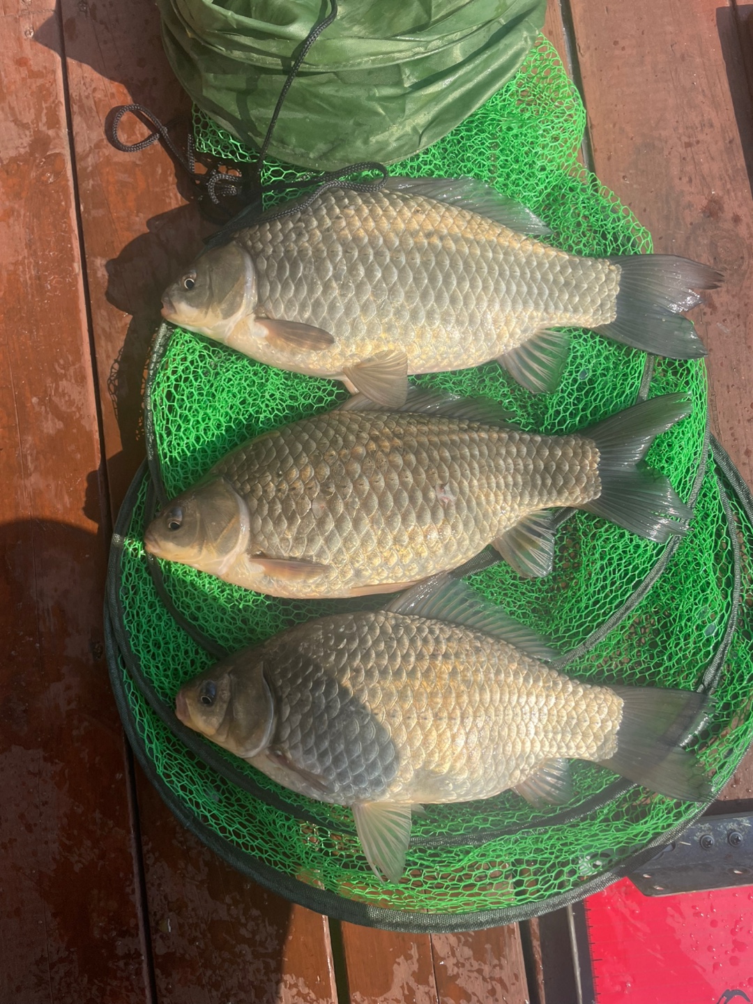 KakaoTalk_20250414_111458569.jpg