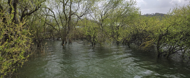 [ũ⺯ȯ]20250413_094148.jpg