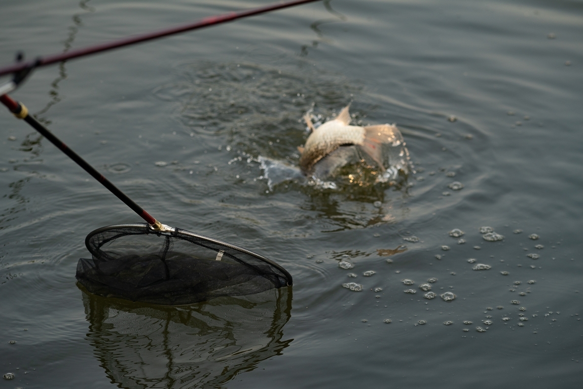 DSC00426.jpg