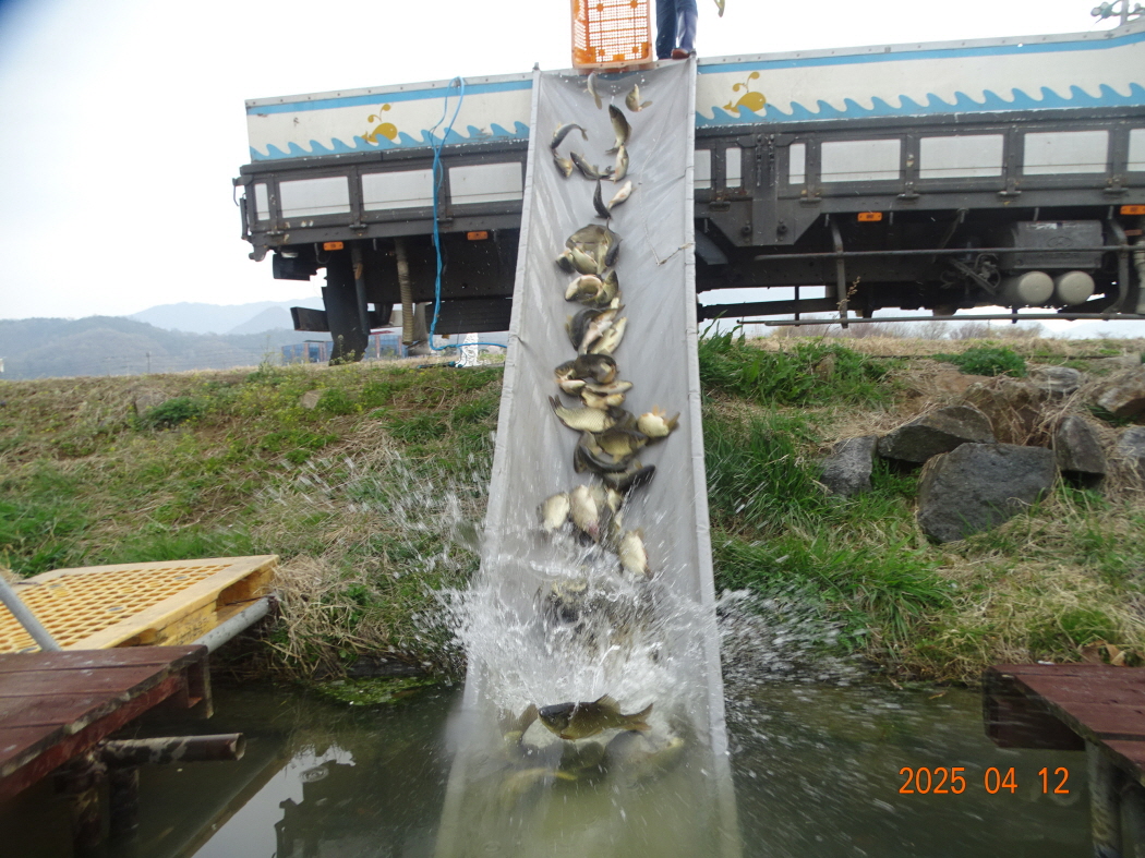 DSC00511.JPG