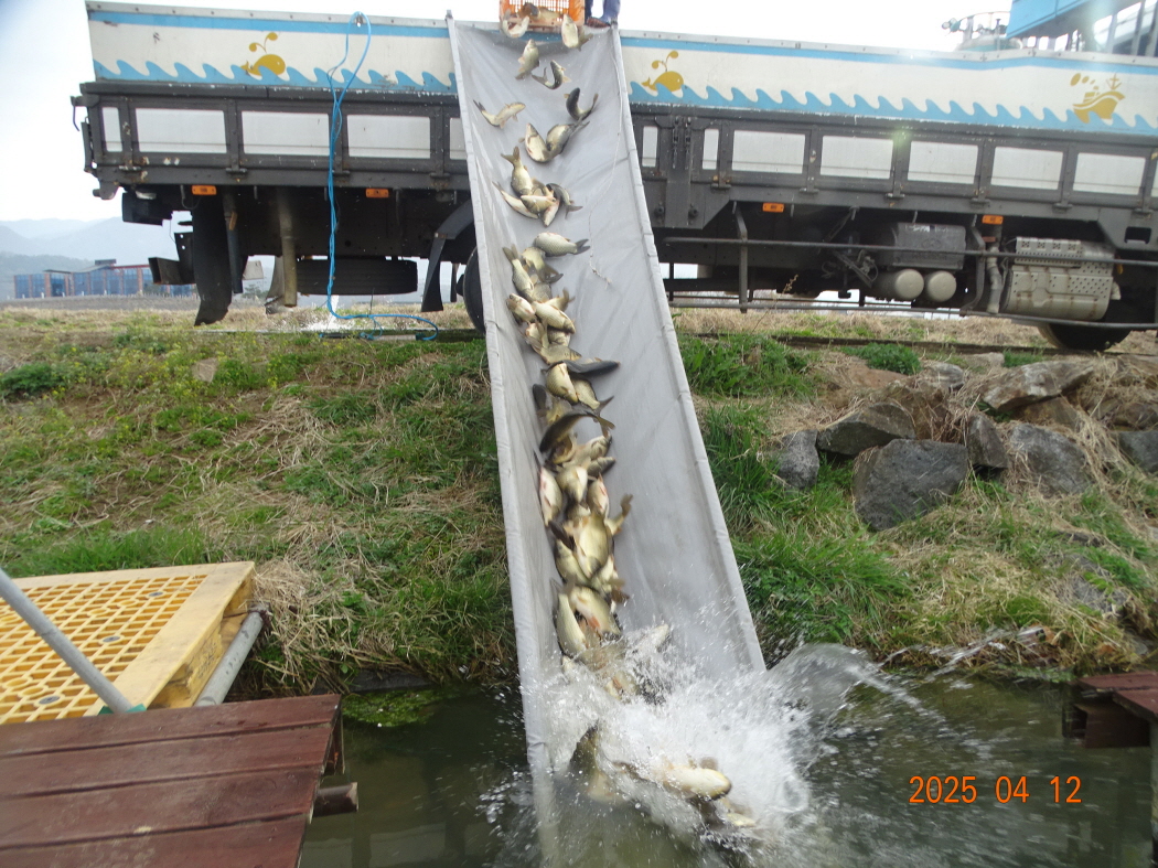 DSC00509.JPG