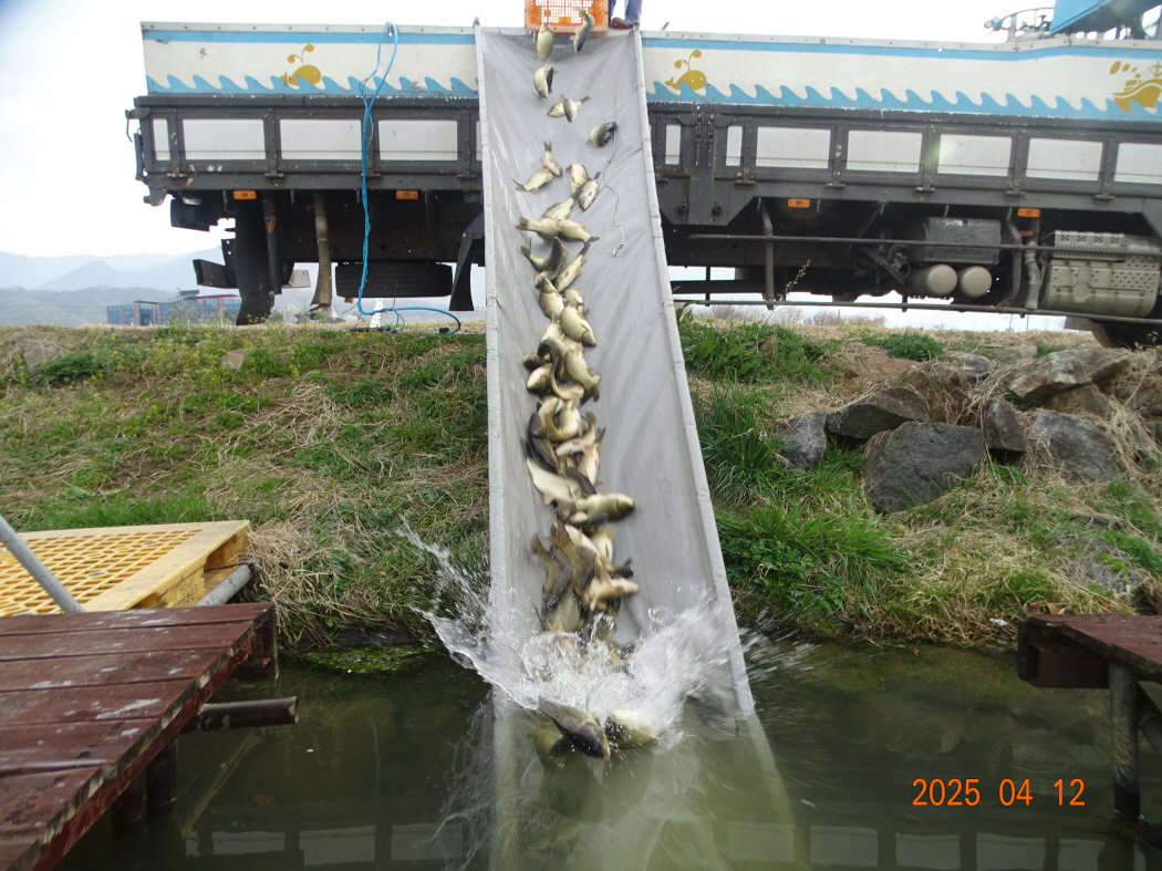 DSC00513.JPG