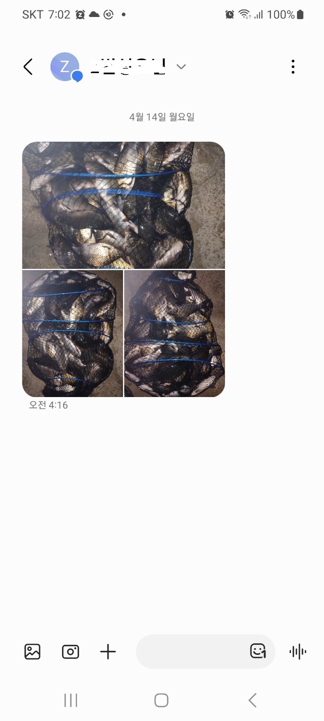 1744673726605-1.jpg