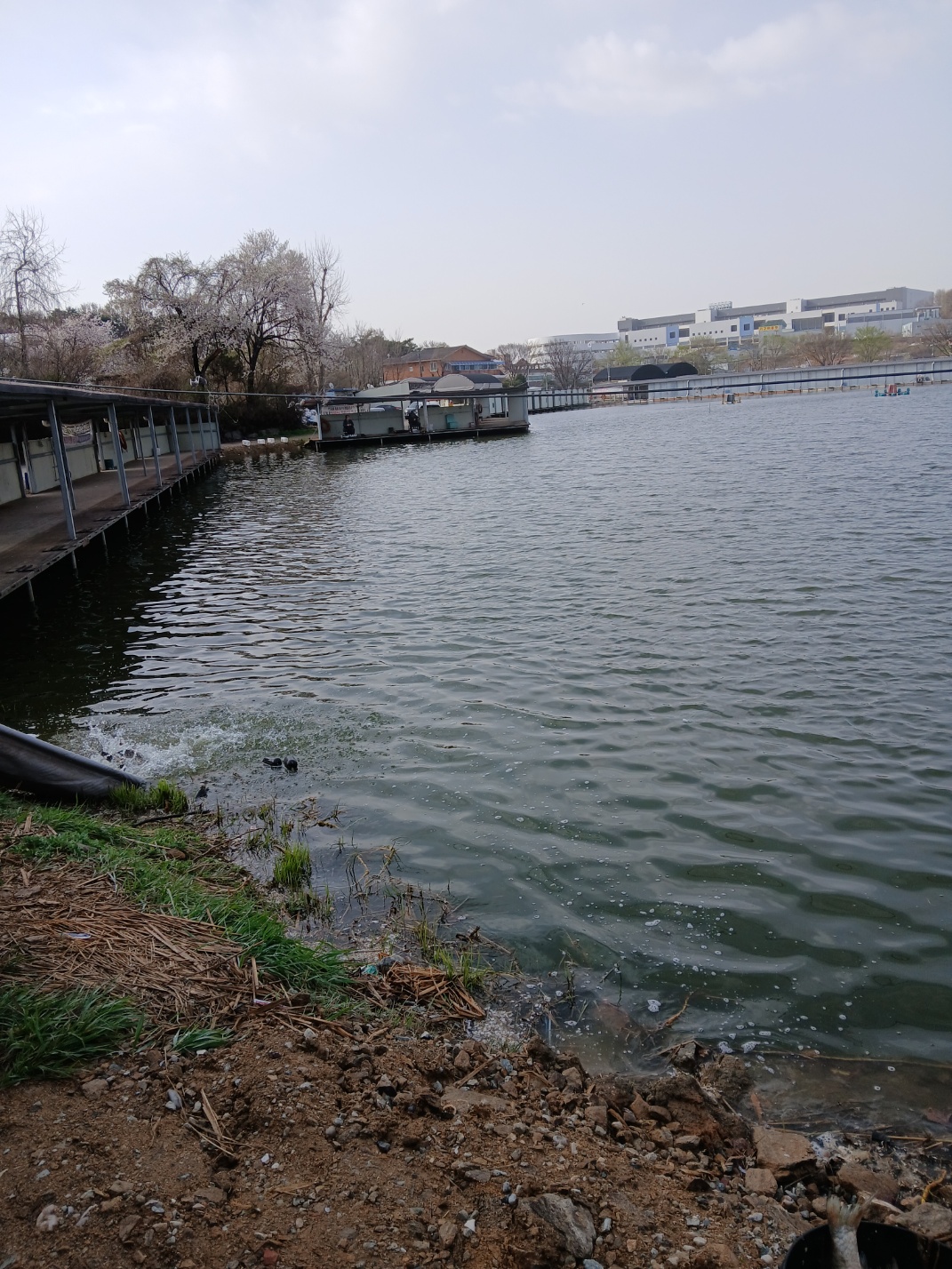 KakaoTalk_20250413_122143516_24.jpg