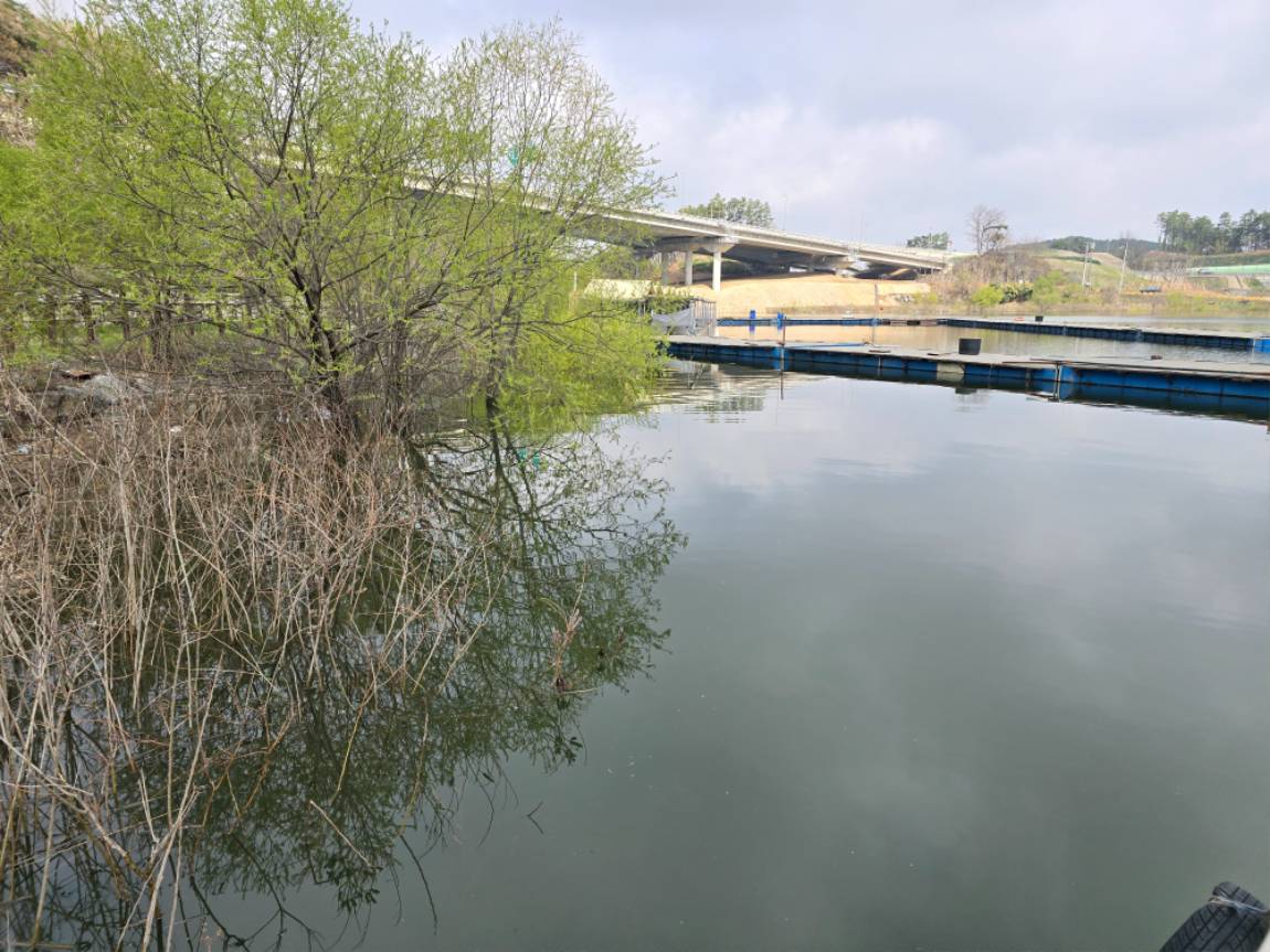 20250415_093720.jpg