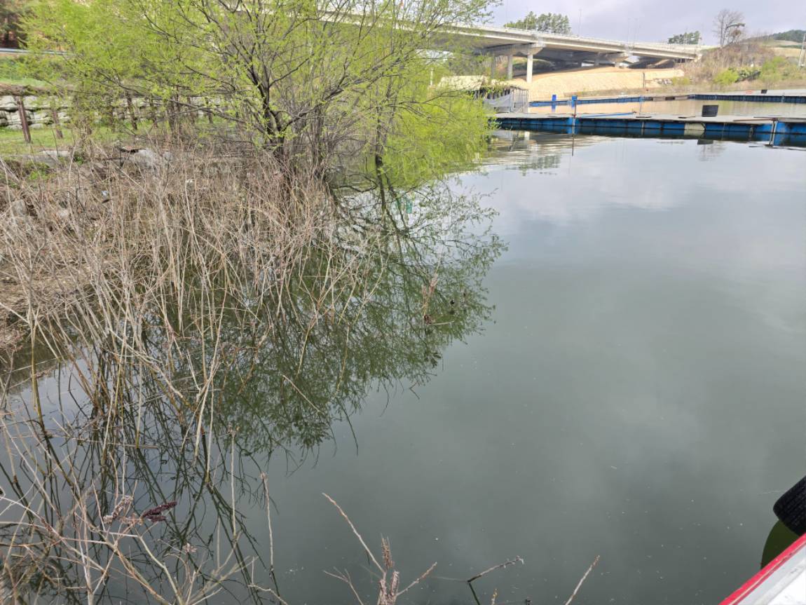 20250415_093723.jpg