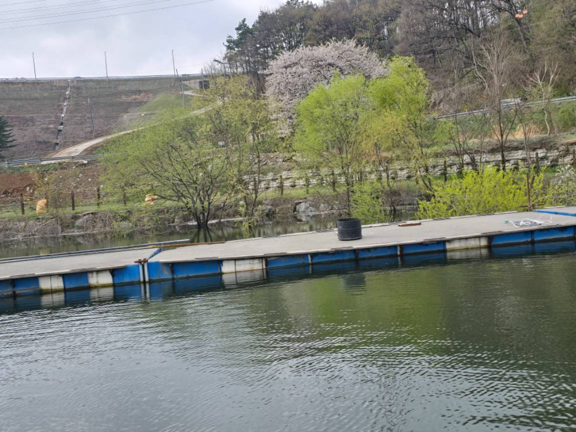 20250415_094751.jpg