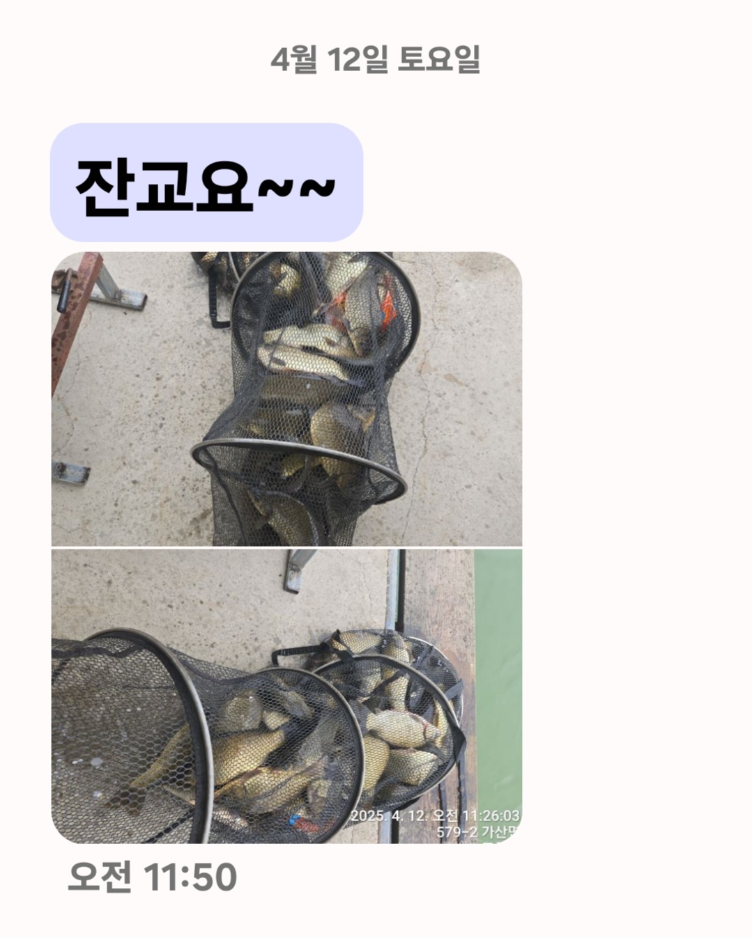 Screenshot_20250412_120403_Messages.jpg