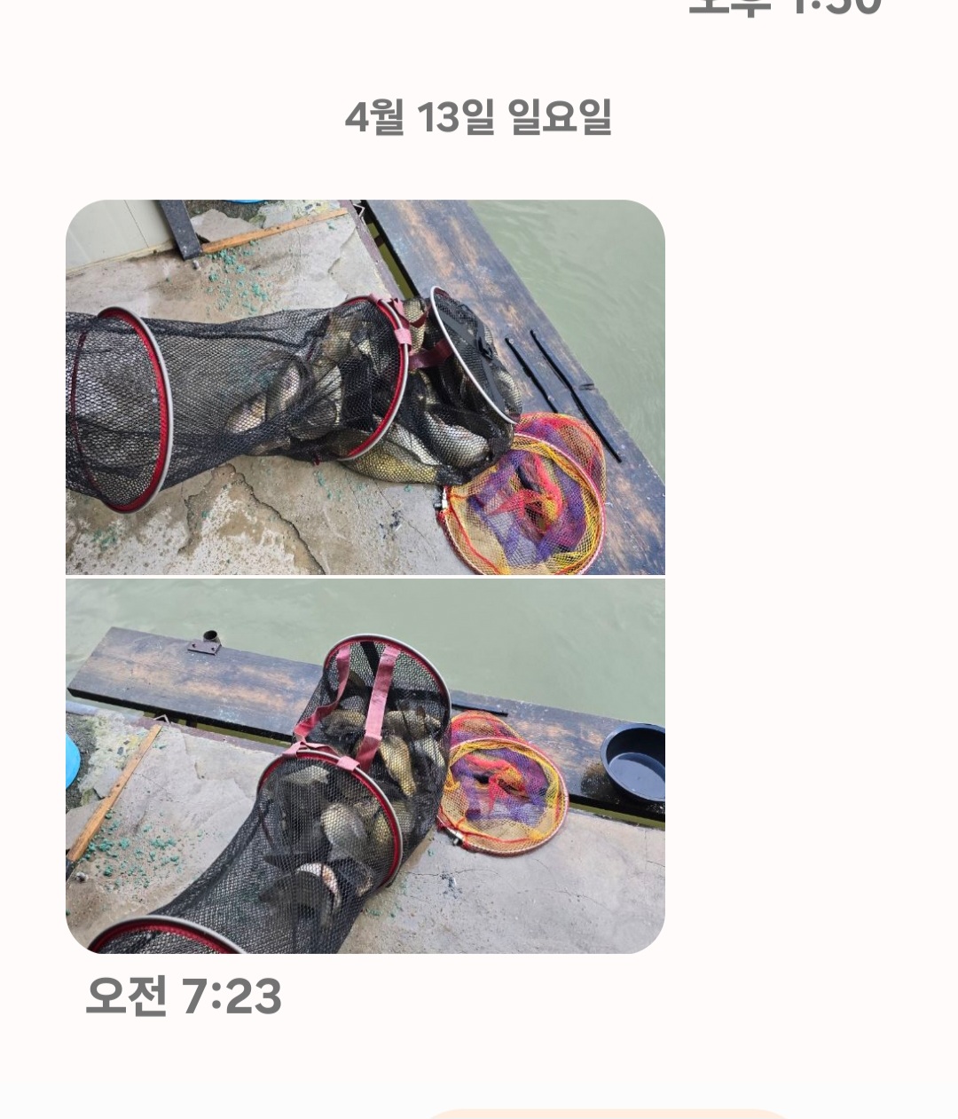 Screenshot_20250413_075321_Messages.jpg