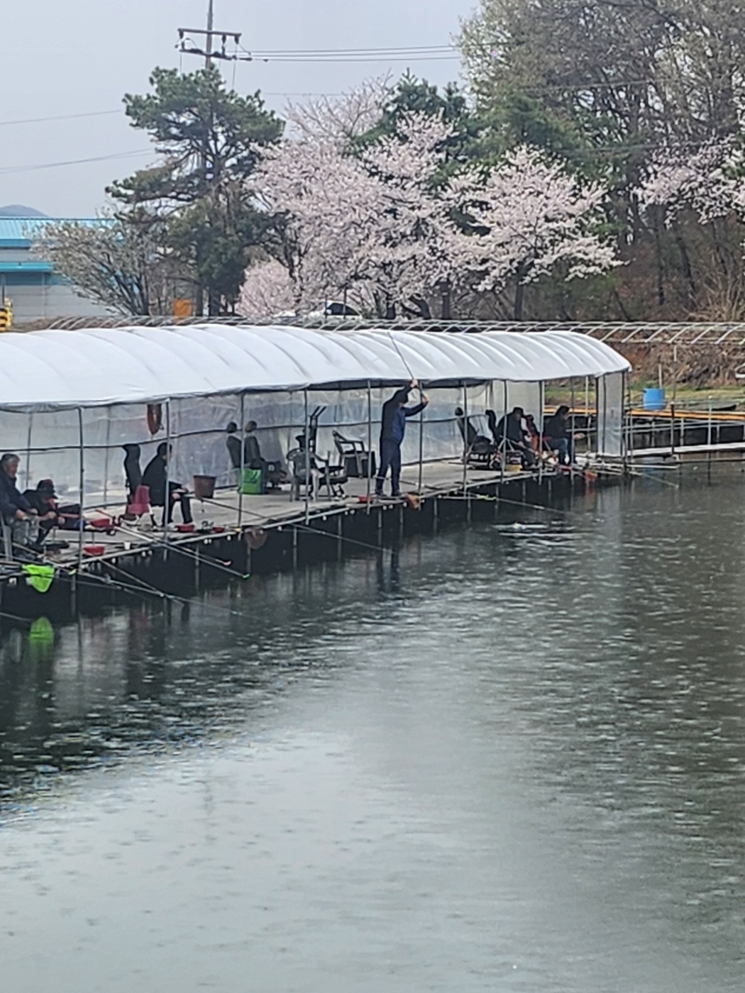 KakaoTalk_20250416_093024542.jpg