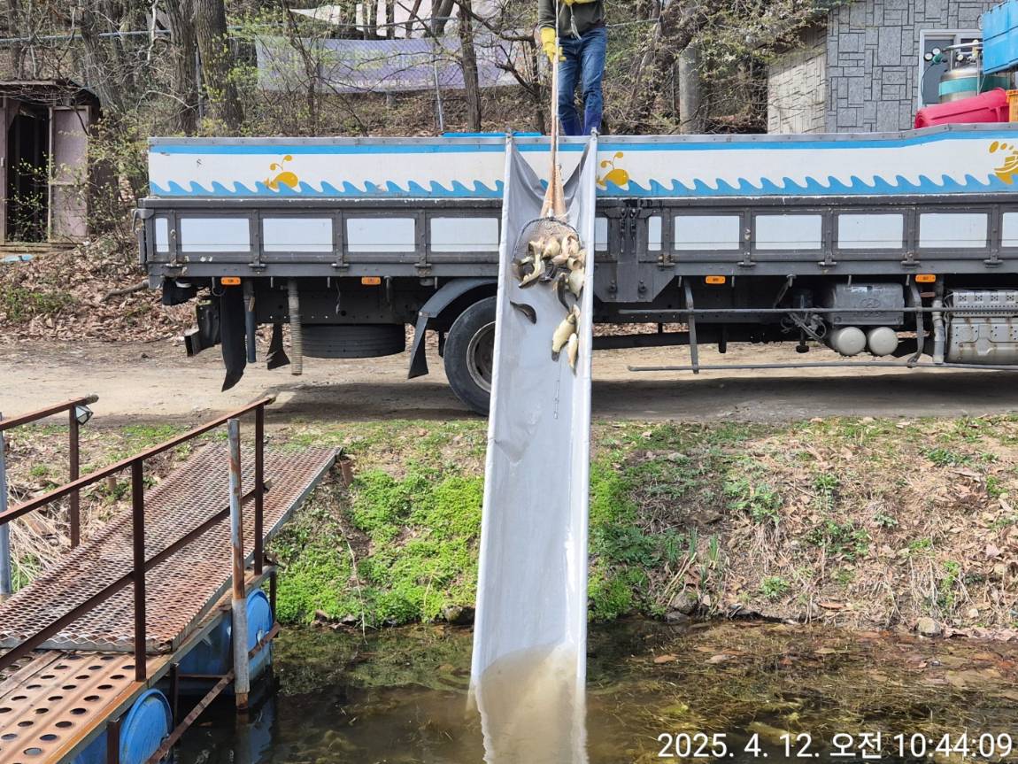KakaoTalk_20250416_093338521.jpg