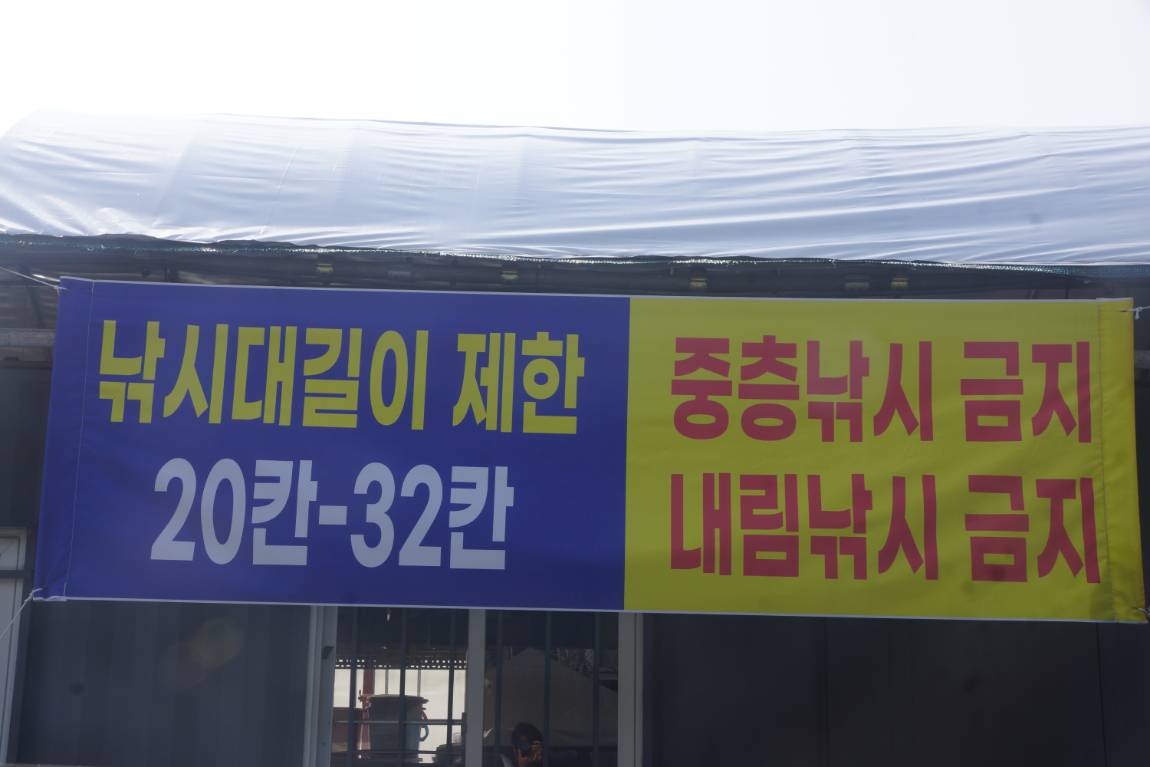 DSC09334.JPG