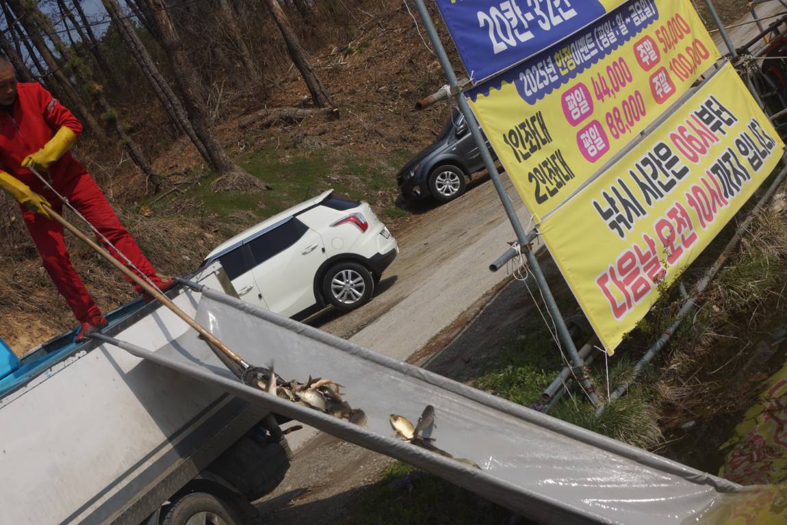 DSC09344.JPG