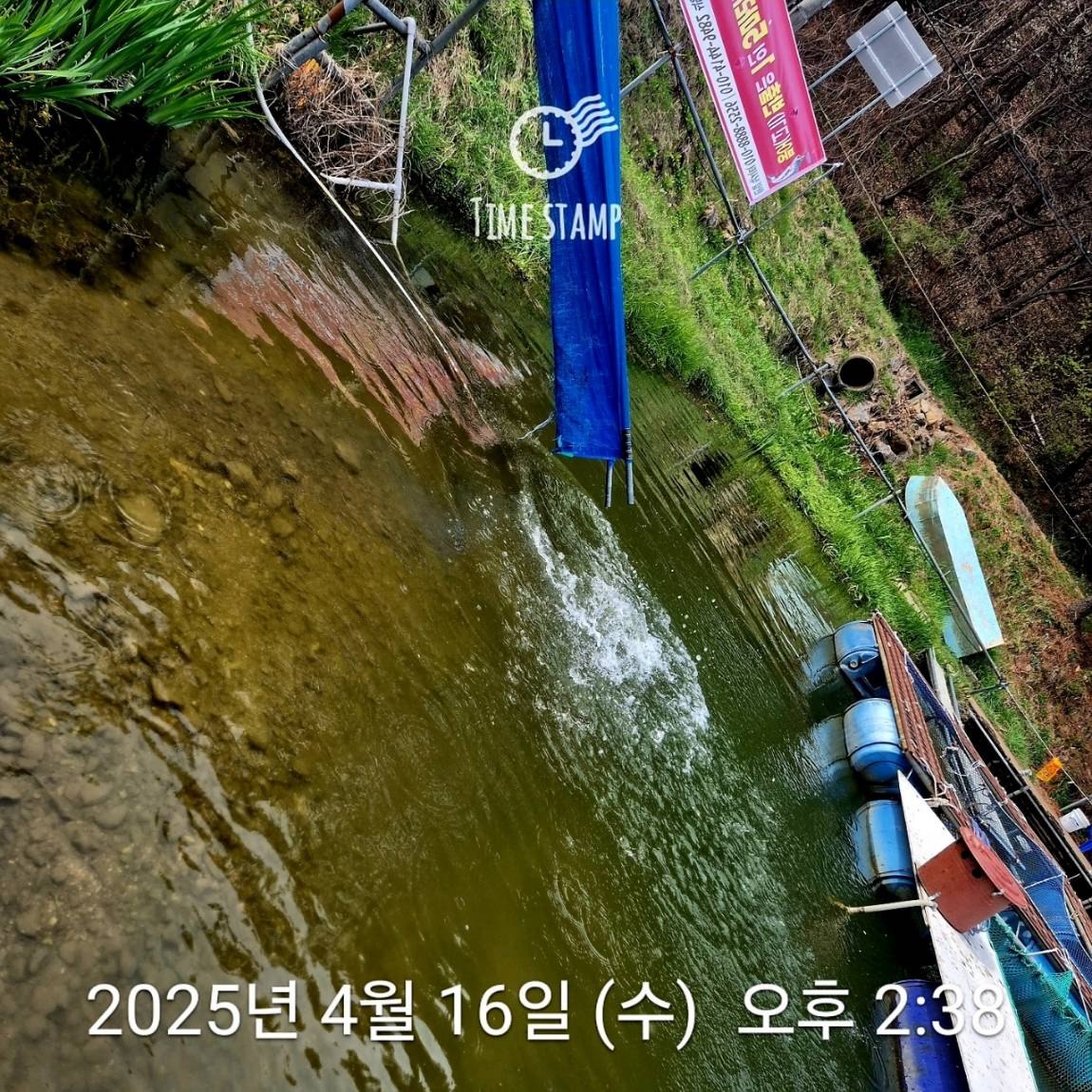 12801744784490758.jpg