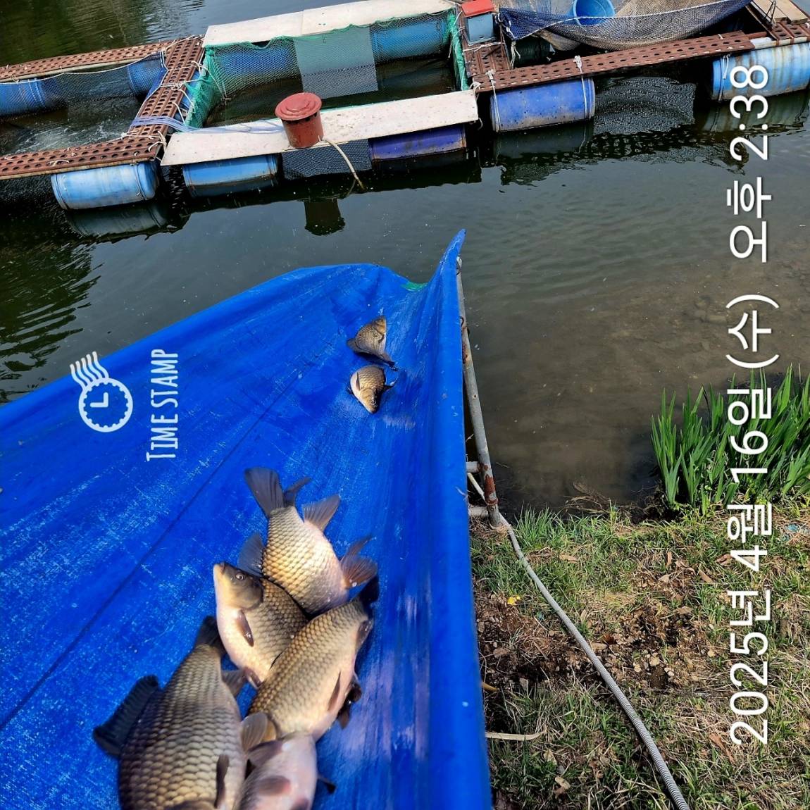 12801744784490904.jpg