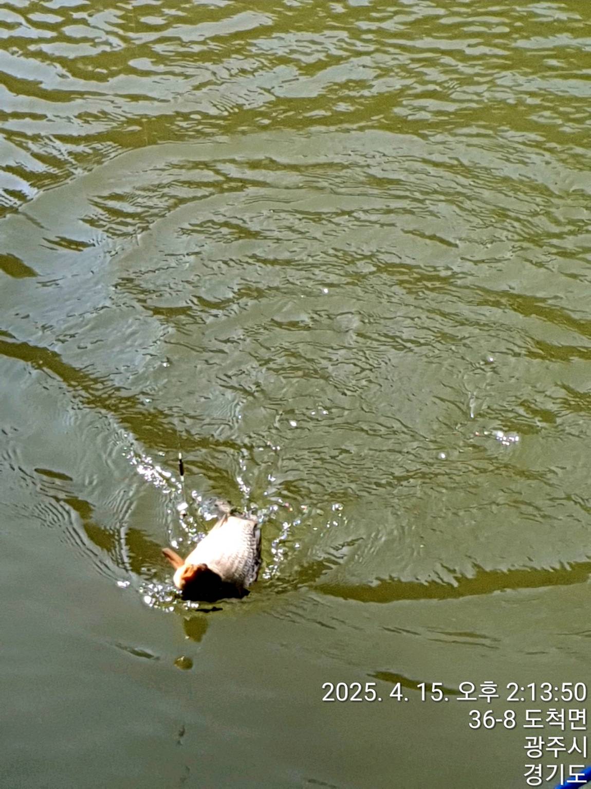 1280TimePhoto20250415141350.jpg