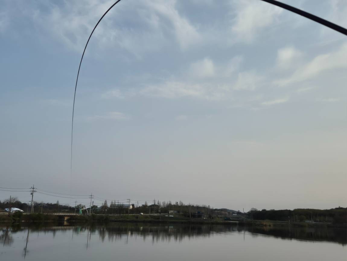 20250417_064729.jpg