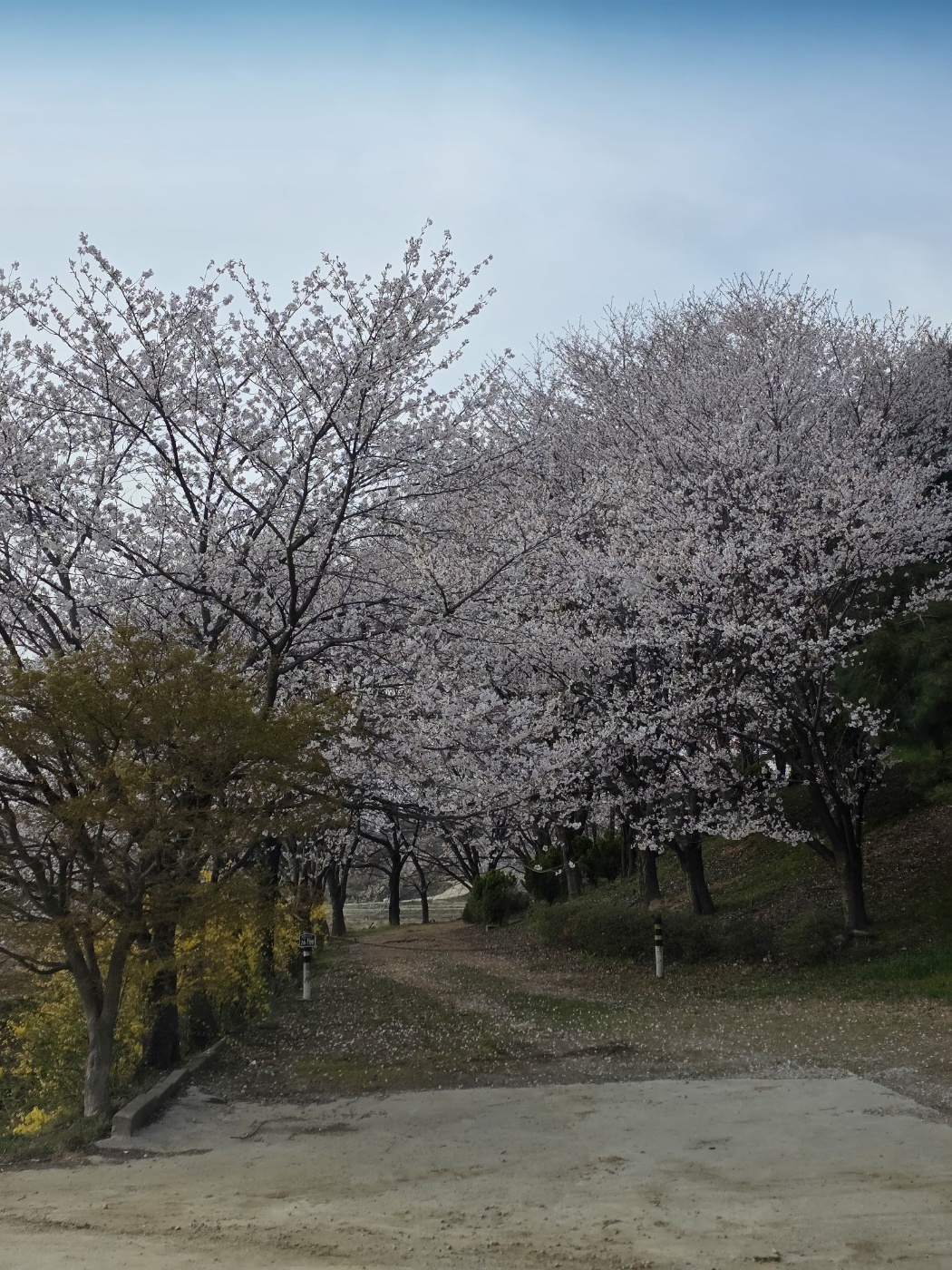 KakaoTalk_20250416_225236303_08.jpg